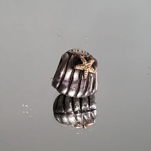 Pandora Charm